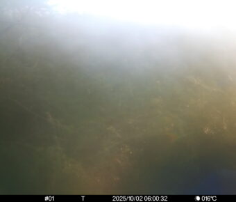 Oct 2 2025  6:00:32, #01