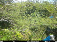 Oct 2 2025 12:00:32, #01