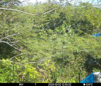 Oct 2 2025 12:00:32, #01