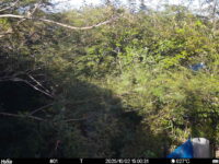 Oct 2 2025 15:00:30, #01