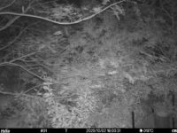 Oct 2 2025 18:00:31, #01