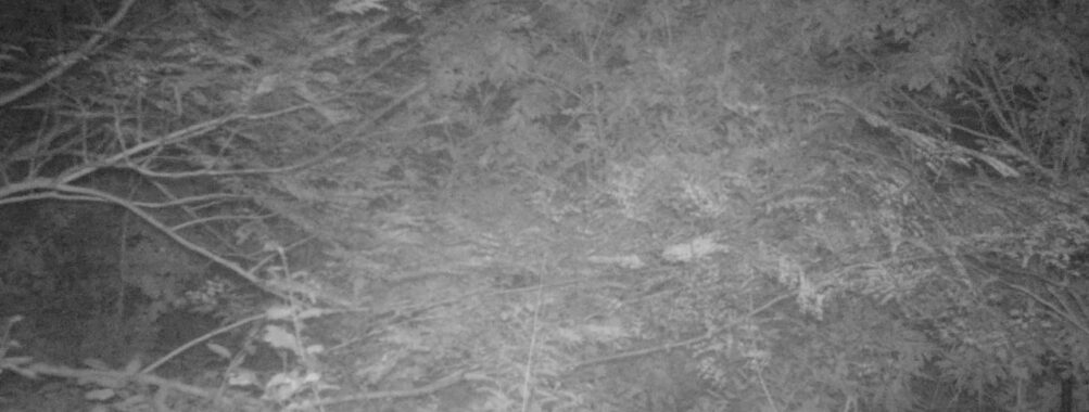 Oct 2 2025 21:00:31, #01