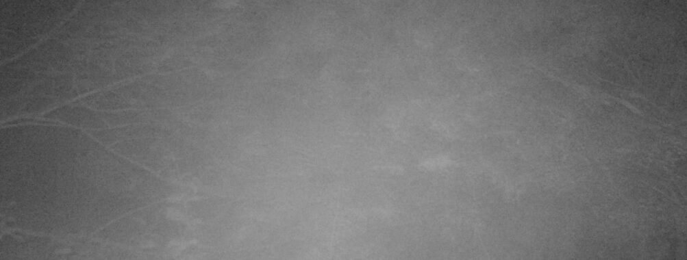 Oct 3 2025  0:00:31, #01