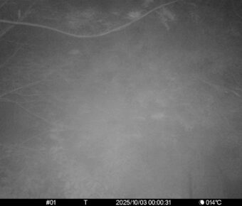 Oct 3 2025  0:00:31, #01