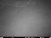 Oct 3 2025  3:00:31, #01