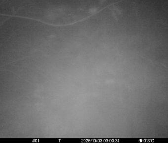 Oct 3 2025  3:00:31, #01