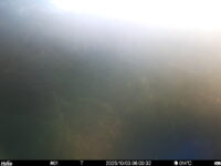 Oct 3 2025  6:00:32, #01