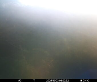 Oct 3 2025  6:00:32, #01