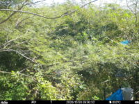 Oct 3 2025  9:00:32, #01