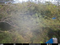 Oct 3 2025 12:00:31, #01