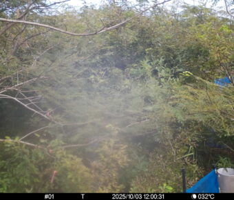 Oct 3 2025 12:00:31, #01