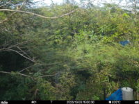 Oct 3 2025 15:00:30, #01