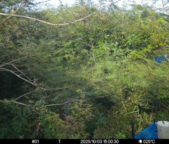 Oct 3 2025 15:00:30, #01