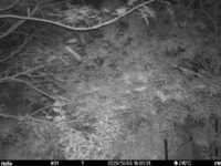 Oct 3 2025 18:00:31, #01