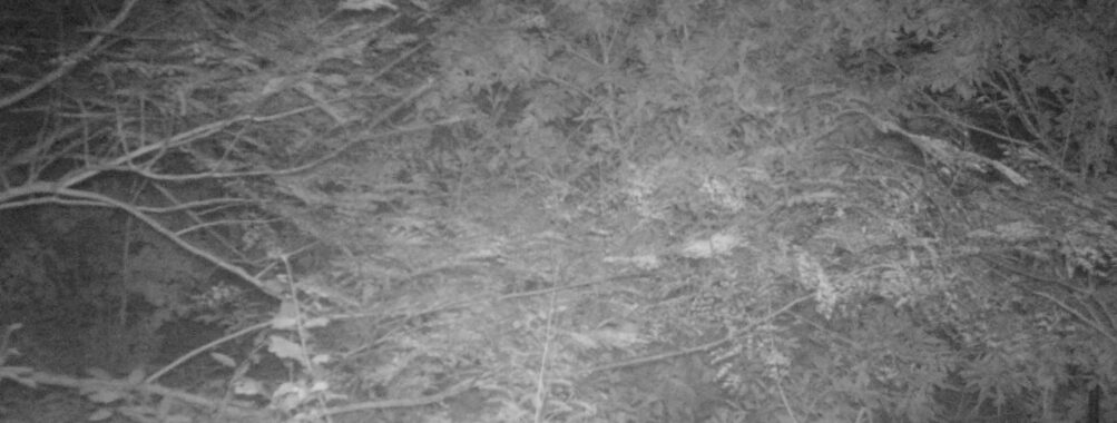 Oct 3 2025 21:00:31, #01