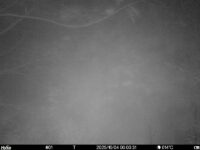 Oct 4 2025  0:00:30, #01