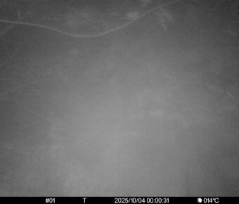 Oct 4 2025  0:00:30, #01