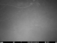 Oct 4 2025  3:00:31, #01