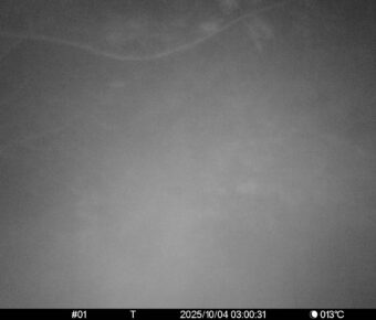 Oct 4 2025  3:00:31, #01