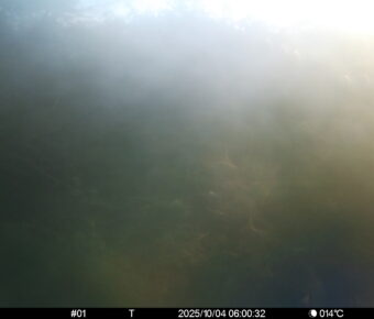 Oct 4 2025  6:00:32, #01
