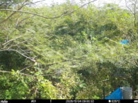 Oct 4 2025  9:00:32, #01