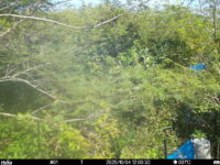 Oct 4 2025 12:00:32, #01