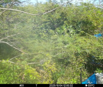 Oct 4 2025 12:00:32, #01