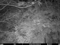 Oct 4 2025 18:00:31, #01