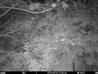 Oct 4 2025 21:00:32, #01