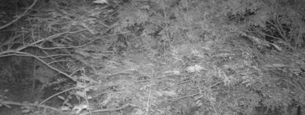 Oct 5 2025  0:00:30, #01