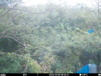 Oct 5 2025  6:00:31, #01