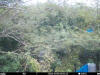 Oct 5 2025  9:00:32, #01