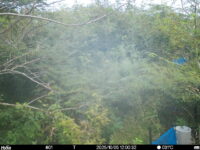 Oct 5 2025 12:00:32, #01