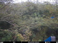 Oct 5 2025 15:00:31, #01