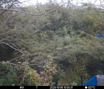 Oct 5 2025 15:00:31, #01