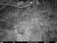 Oct 5 2025 18:00:31, #01