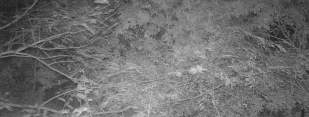 Oct 5 2025 21:00:32, #01