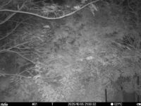 Oct 5 2025 21:00:32, #01