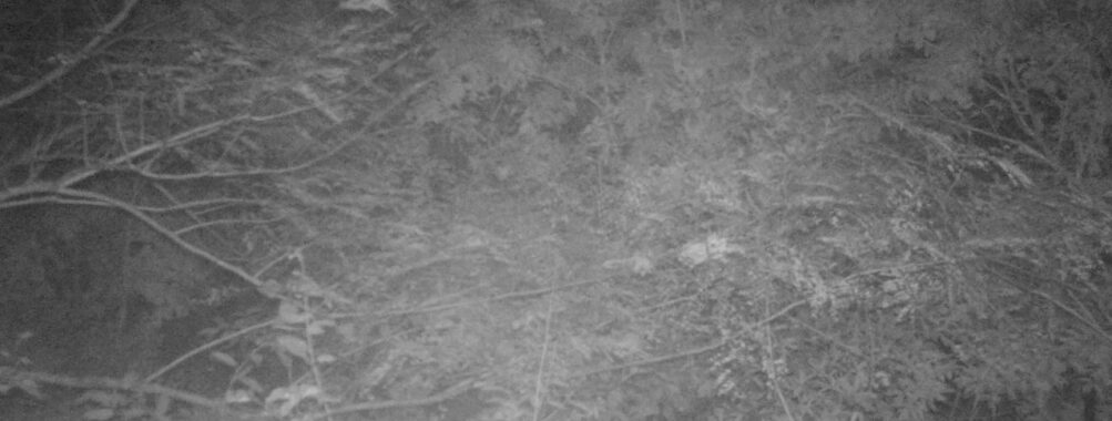 Oct 6 2025  0:00:30, #01