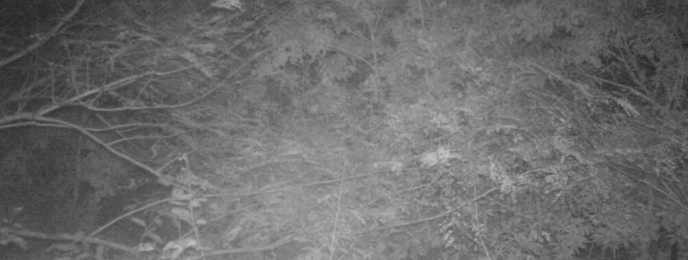 Oct 6 2025  3:00:31, #01
