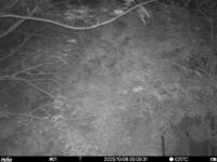 Oct 6 2025  3:00:31, #01