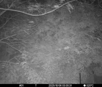 Oct 6 2025  3:00:31, #01