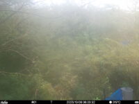 Oct 6 2025  6:00:32, #01