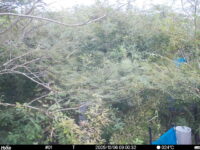 Oct 6 2025  9:00:32, #01