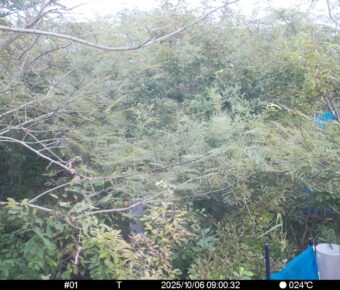Oct 6 2025  9:00:32, #01