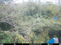 Oct 6 2025 12:00:32, #01