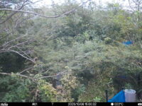 Oct 6 2025 15:00:31, #01