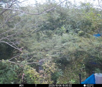 Oct 6 2025 15:00:31, #01