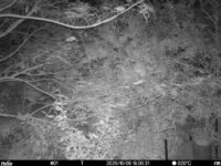 Oct 6 2025 18:00:31, #01