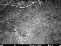 Oct 6 2025 21:00:32, #01